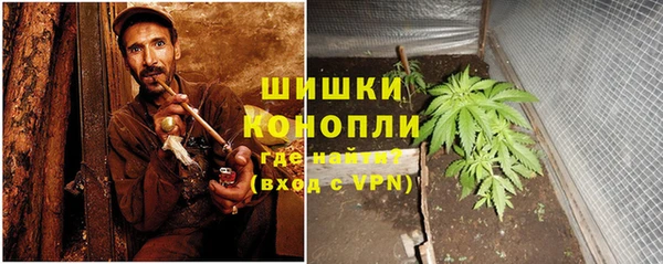 spice Няндома