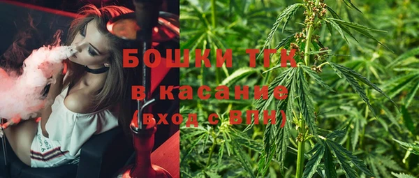 винт Осинники