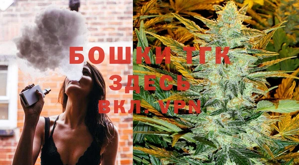 эйфоретик Осташков