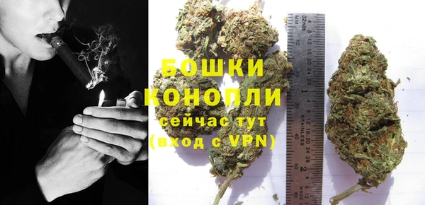 эйфоретик Осташков