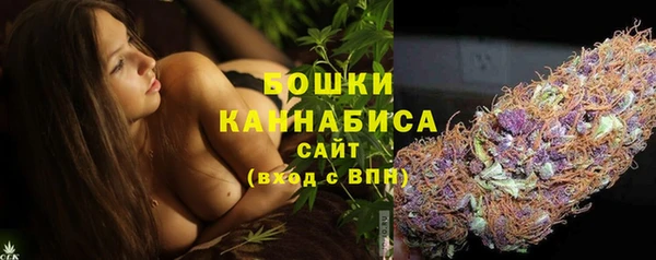 эйфоретик Осташков