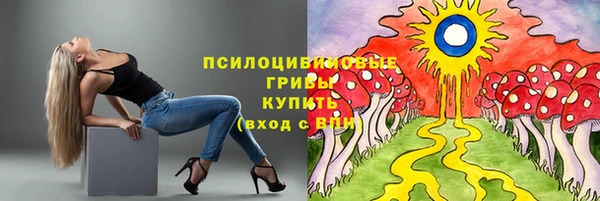 дживик Остров
